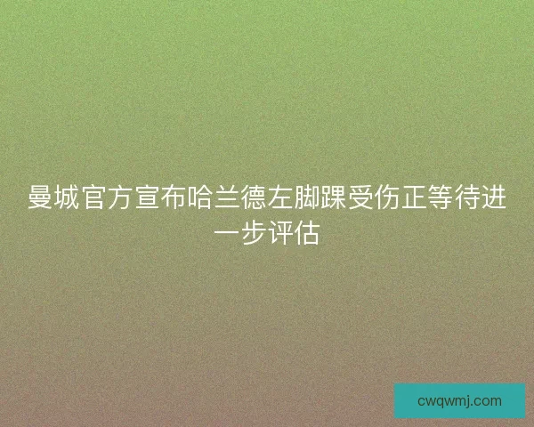 曼城官方宣布哈兰德左脚踝受伤正等待进一步评估