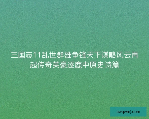 三国志11乱世群雄争锋天下谋略风云再起传奇英豪逐鹿中原史诗篇